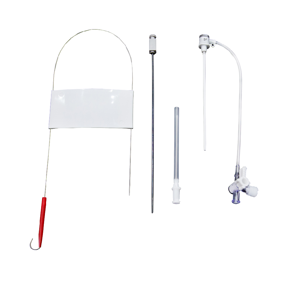 Sheath Femoral SGW 11 cm 5F 45cm